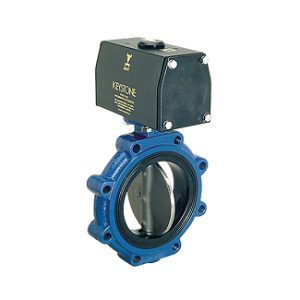 Butterfly Valves