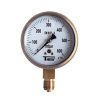 Capsule Pressure Gauges